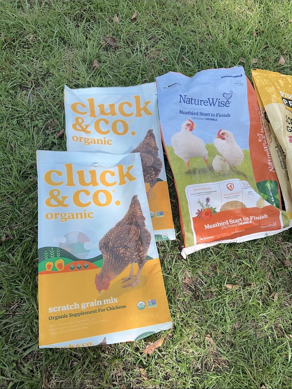 Set of 8 empty chicken feed bags for crafts